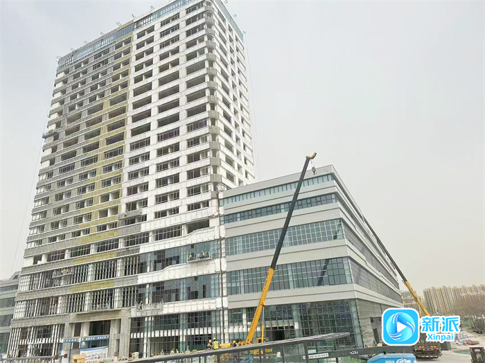 “靠前服务”助力建设项目拔节生长