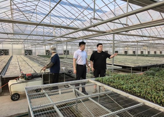 平安融易定制化“车抵”服务解潍坊育苗户燃眉急金融活水赋能乡村产业振兴